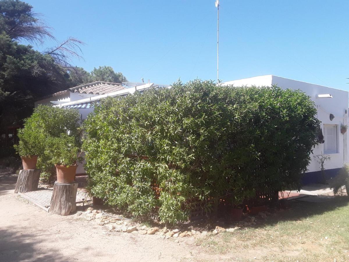 En Finca Las Dunas Dos Chalets Con Jacuzzis En Primera Linea De Playa , Uno De 4 Dormitorios Y Otro De 2 Dormitorios, Llama Al Seiscientos Veintisiete Cuatrocientos Diecisiete Trescientos Noventa Y Ocho Rota Exterior foto