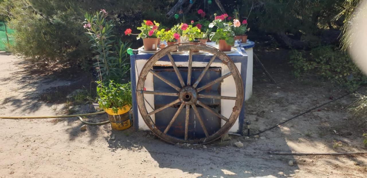 En Finca Las Dunas Dos Chalets Con Jacuzzis En Primera Linea De Playa , Uno De 4 Dormitorios Y Otro De 2 Dormitorios, Llama Al Seiscientos Veintisiete Cuatrocientos Diecisiete Trescientos Noventa Y Ocho Rota Exterior foto