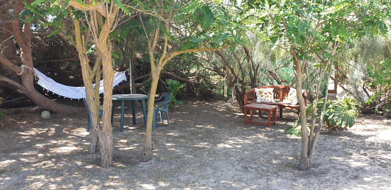 En Finca Las Dunas Dos Chalets Con Jacuzzis En Primera Linea De Playa , Uno De 4 Dormitorios Y Otro De 2 Dormitorios, Llama Al Seiscientos Veintisiete Cuatrocientos Diecisiete Trescientos Noventa Y Ocho Rota Exterior foto