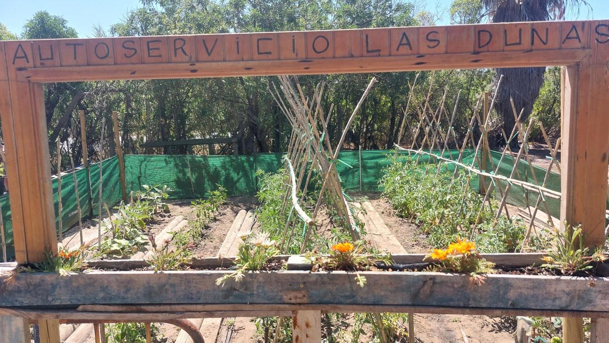 En Finca Las Dunas Dos Chalets Con Jacuzzis En Primera Linea De Playa , Uno De 4 Dormitorios Y Otro De 2 Dormitorios, Llama Al Seiscientos Veintisiete Cuatrocientos Diecisiete Trescientos Noventa Y Ocho Rota Zimmer foto