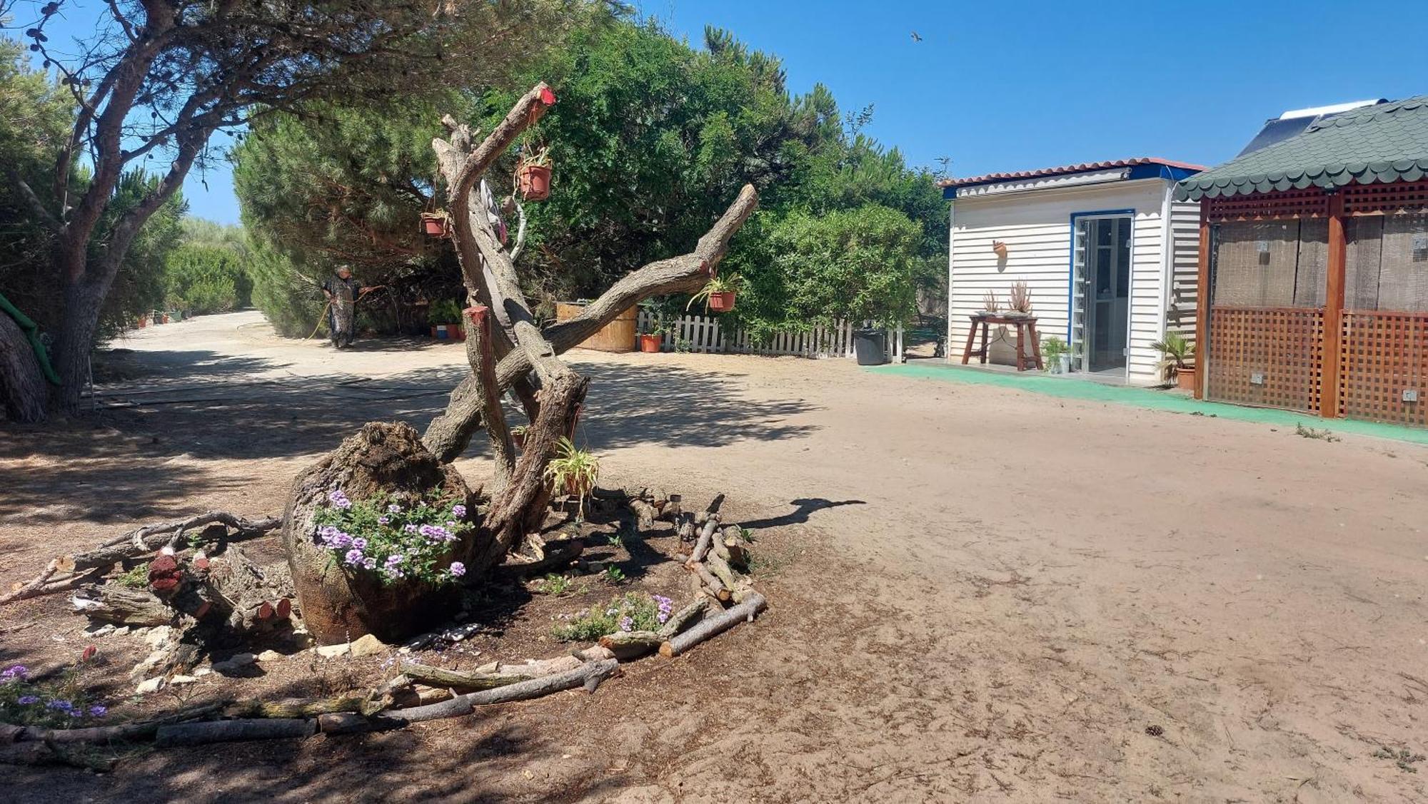 En Finca Las Dunas Dos Chalets Con Jacuzzis En Primera Linea De Playa , Uno De 4 Dormitorios Y Otro De 2 Dormitorios, Llama Al Seiscientos Veintisiete Cuatrocientos Diecisiete Trescientos Noventa Y Ocho Rota Exterior foto