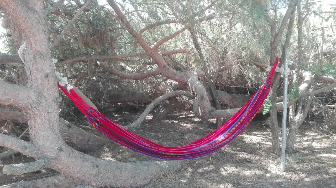 En Finca Las Dunas Dos Chalets Con Jacuzzis En Primera Linea De Playa , Uno De 4 Dormitorios Y Otro De 2 Dormitorios, Llama Al Seiscientos Veintisiete Cuatrocientos Diecisiete Trescientos Noventa Y Ocho Rota Exterior foto